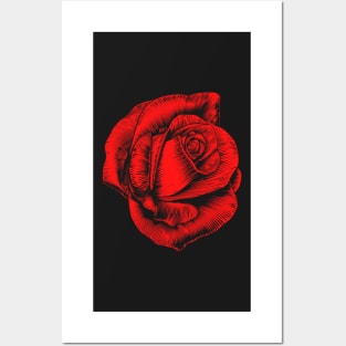 Rose Blossom Vintage Posters and Art